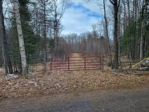 TBD Fence River Road, Republic, MI 49879