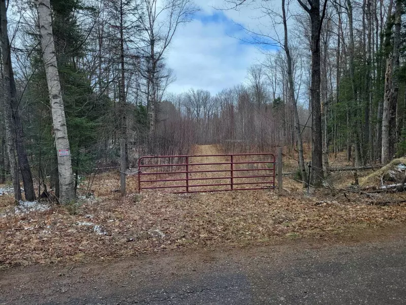 TBD Fence River Road, Republic, MI 49879