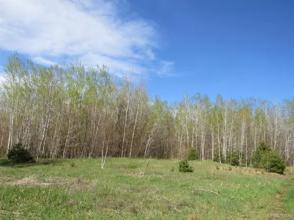 Lake Linden, MI 49945,TBD Off Rice Lake Road