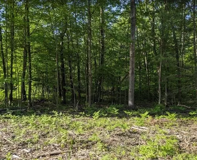 Lot 179 Shadowbrook Drive, Lake, MI 48632