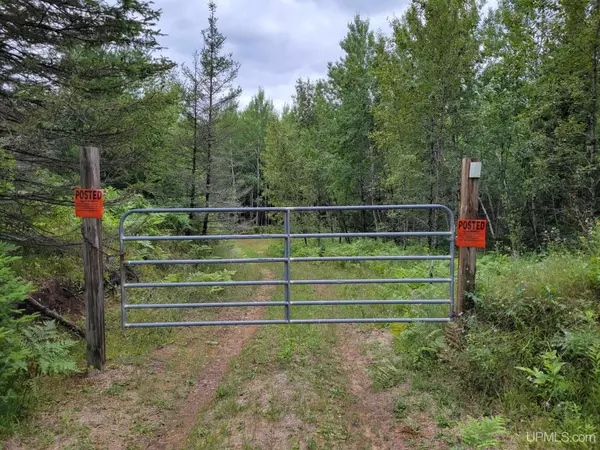 TBD Calumet Mine Road, Felch, MI 49831