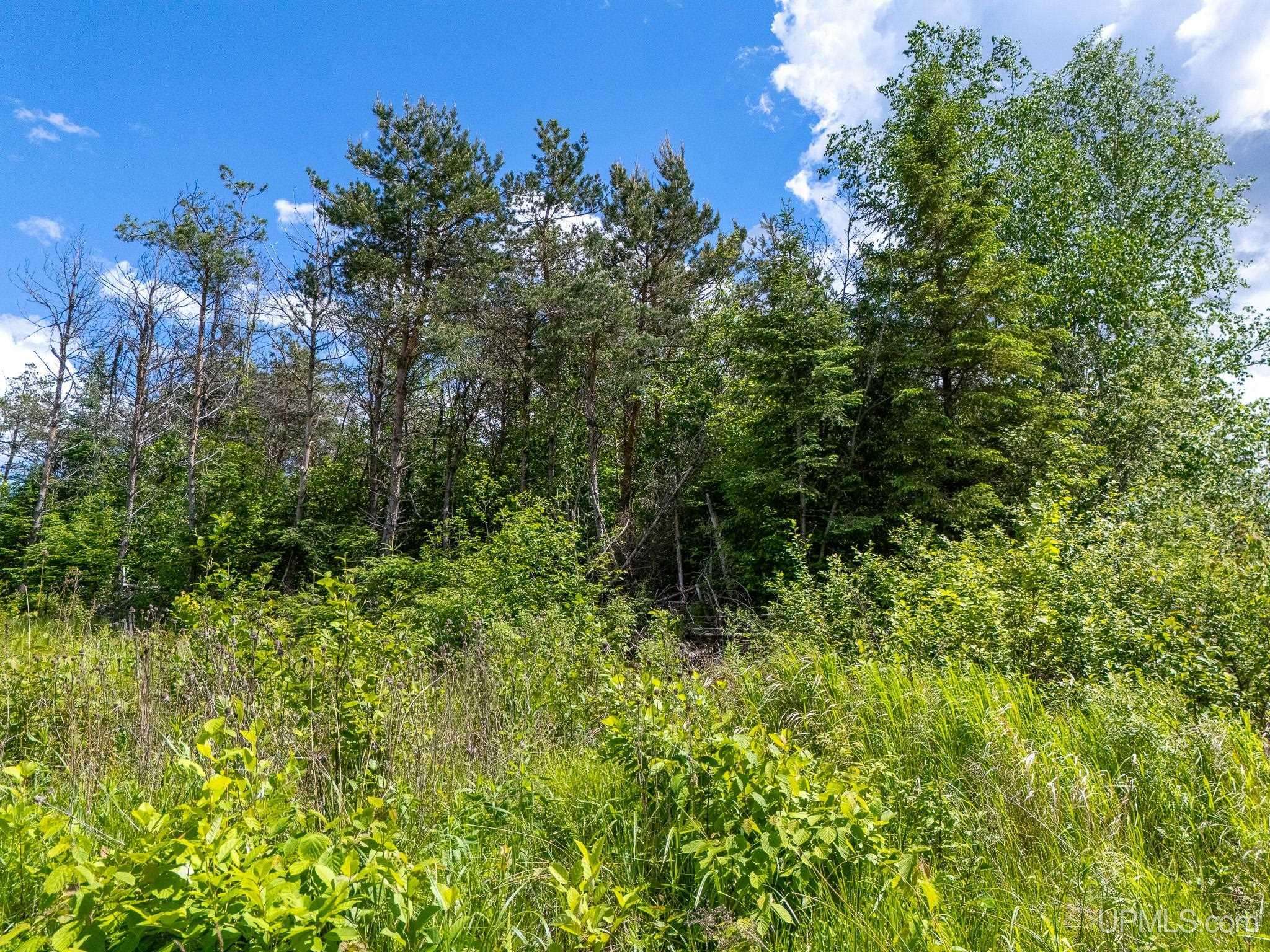 Bruce Crossing, MI 49912,ON Brown Road