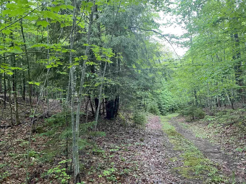 240 Acres off McLaughlin Road, Skandia, MI 49885