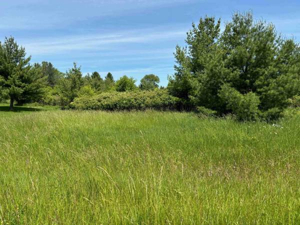 Lot 176 Winchester Way, Gladwin, MI 48624