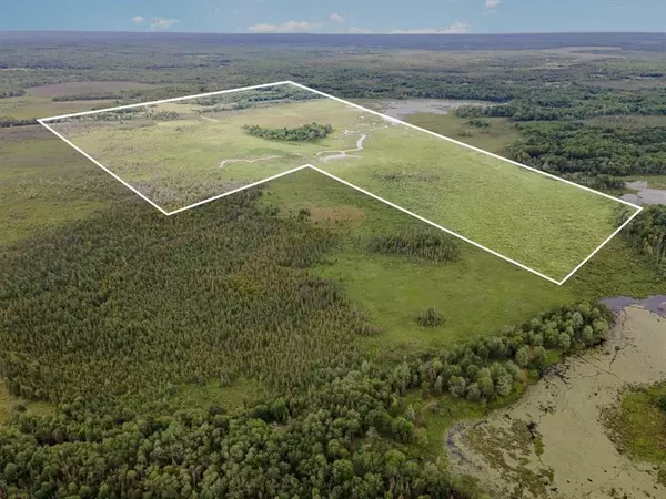 Houghton Lake, MI 48629,160 Acres Bowman Trail