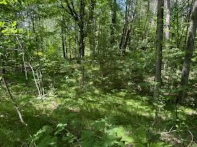 LOT 116, 117, 118 DONNA Drive, Lake, MI 48632