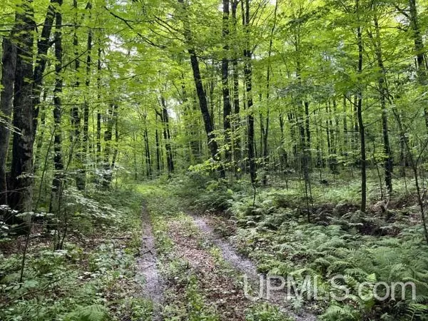 Crystal Falls, MI 49920,40 Acres New DNR Road