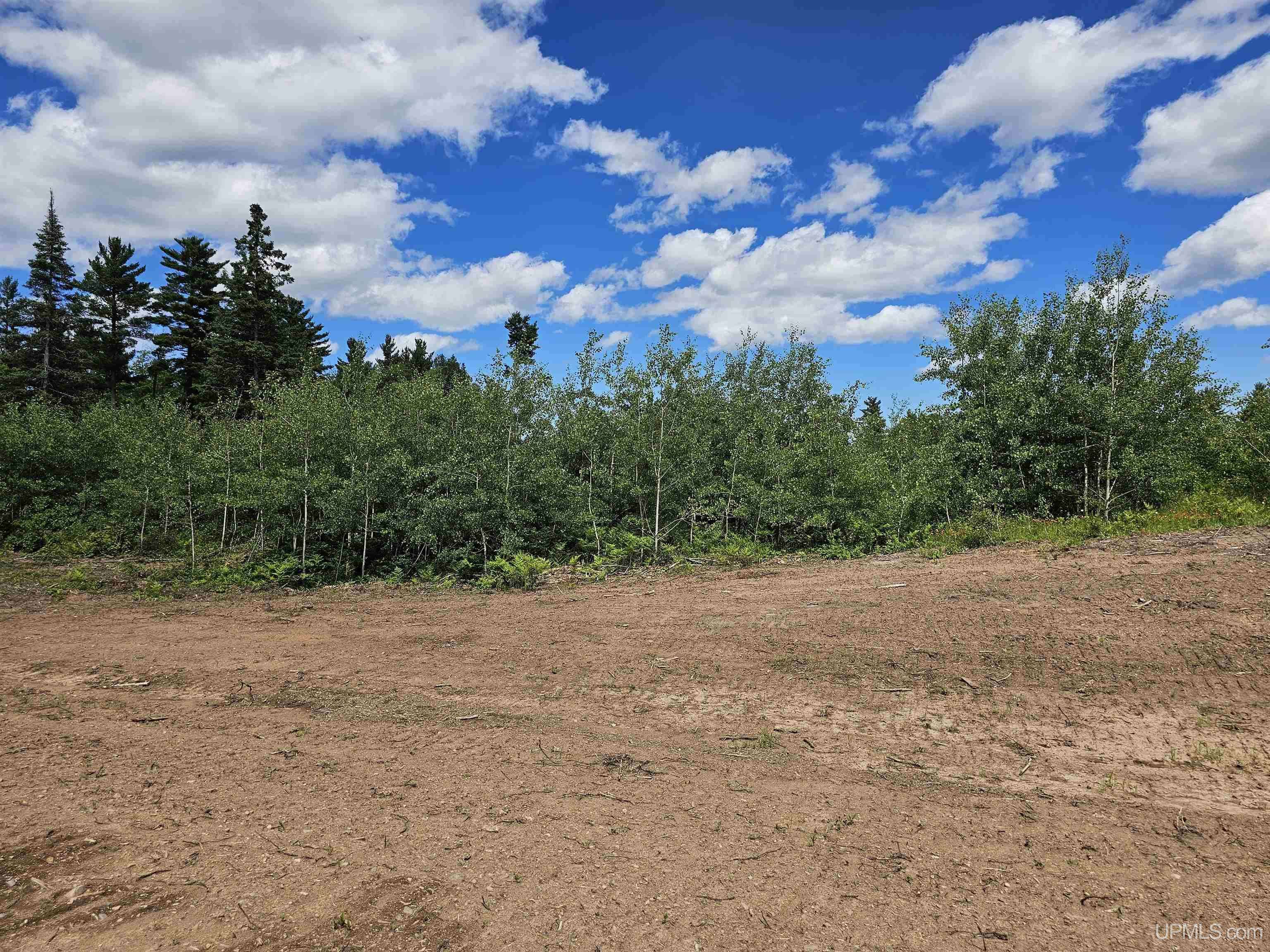 Ishpeming, MI 49849,TBD N Greenwood - 1 Drive