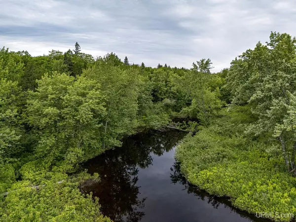 Carp Lake, MI 49953,OFF Camp 4 Grade Road