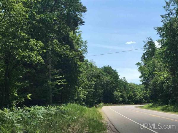 TBD Co Rd 492 Road, Marquette, MI 49855