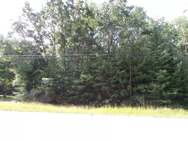 Lot 187 Ashard Road, Lake, MI 48632