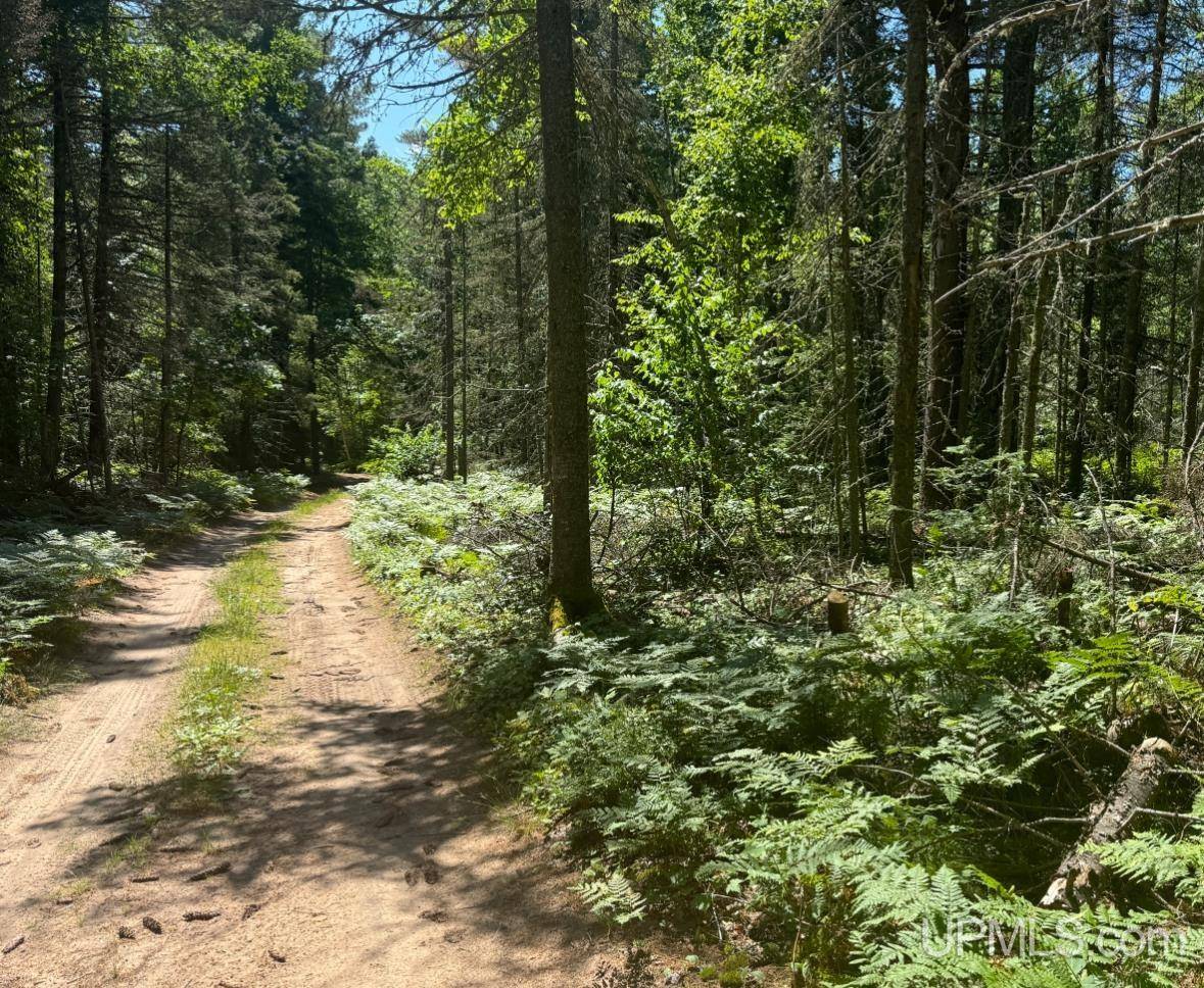 Ishpeming, MI 49849,TBD Willow Creek Rd 10 acres SEC34 Road