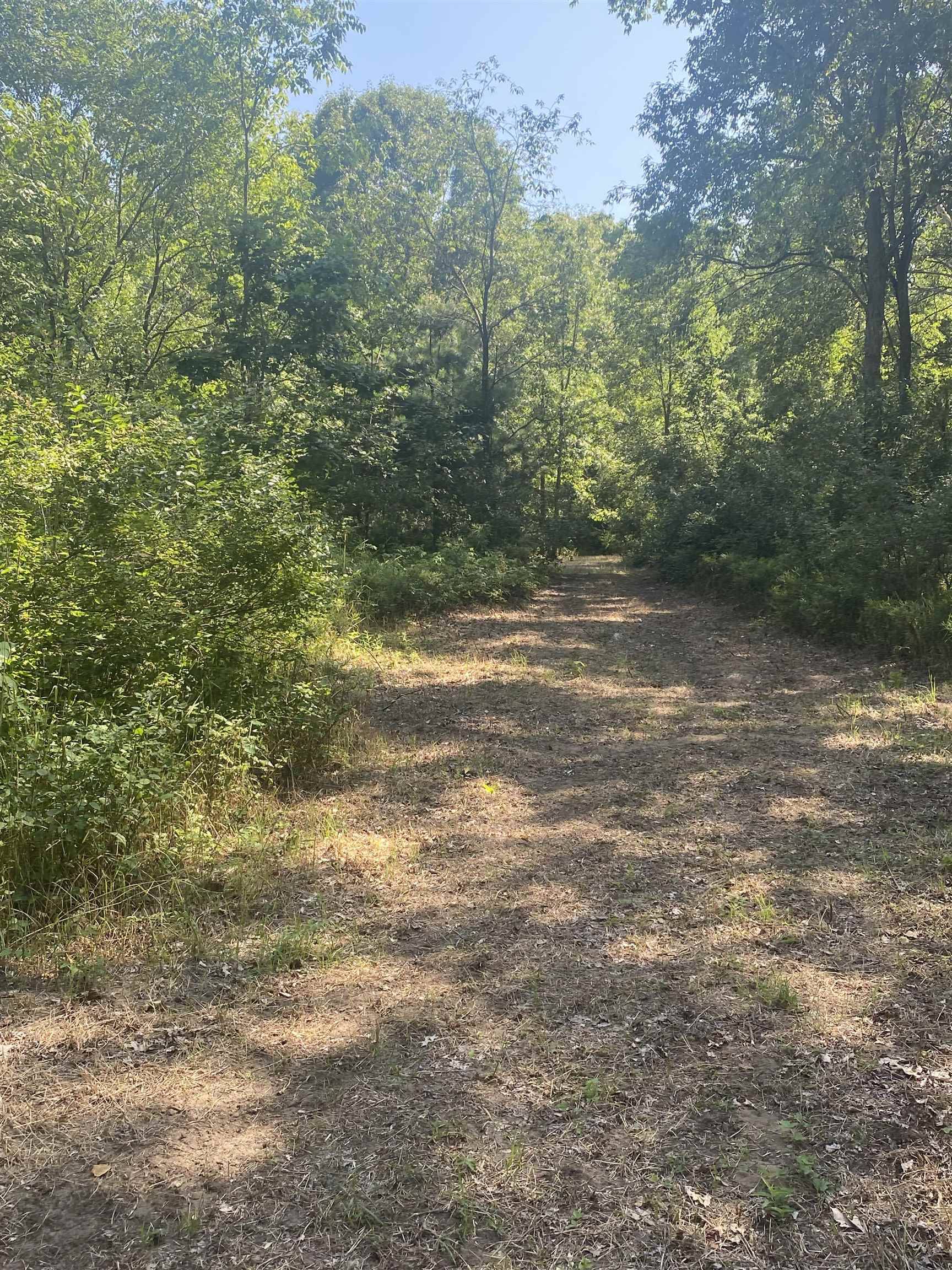 Lake, MI 48632,TBD W NORTH COUNTY LINE Road
