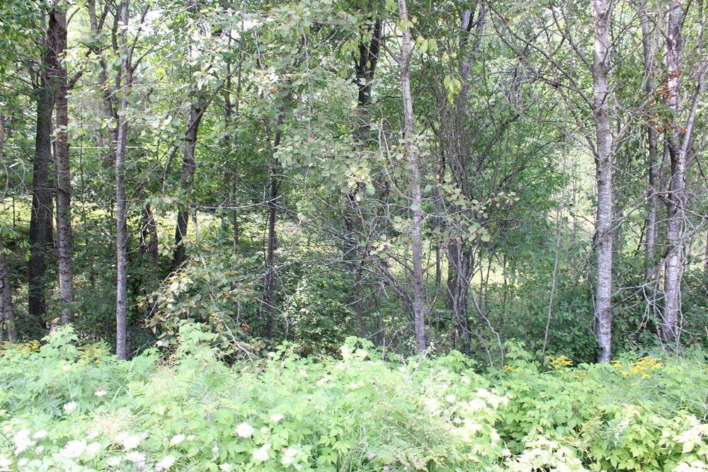 Harrison, MI 48625,Parcel A-4 N Harding Avenue