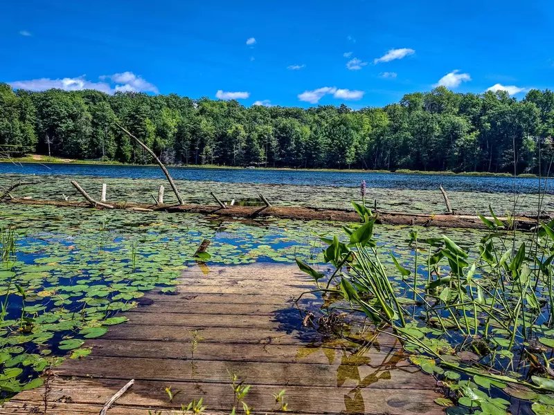 NHN Half Moon Lake Trail, Harrison, MI 48625