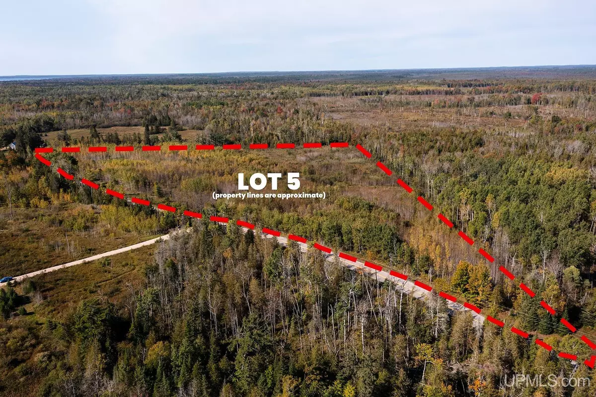 Rapid River, MI 49878,TBD Lot 5 LL Road