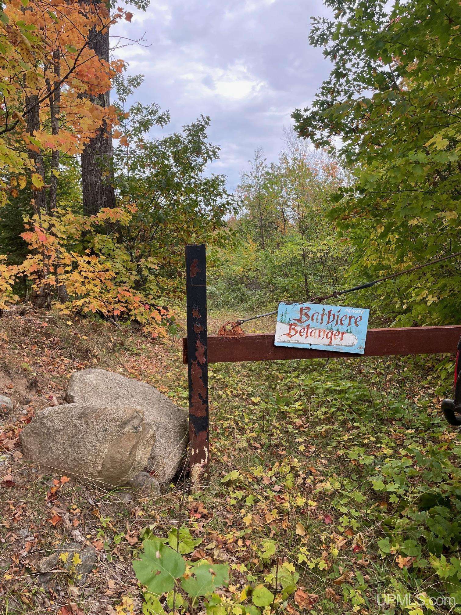 Ishpeming, MI 49829,TBD Goldmine Lake Road