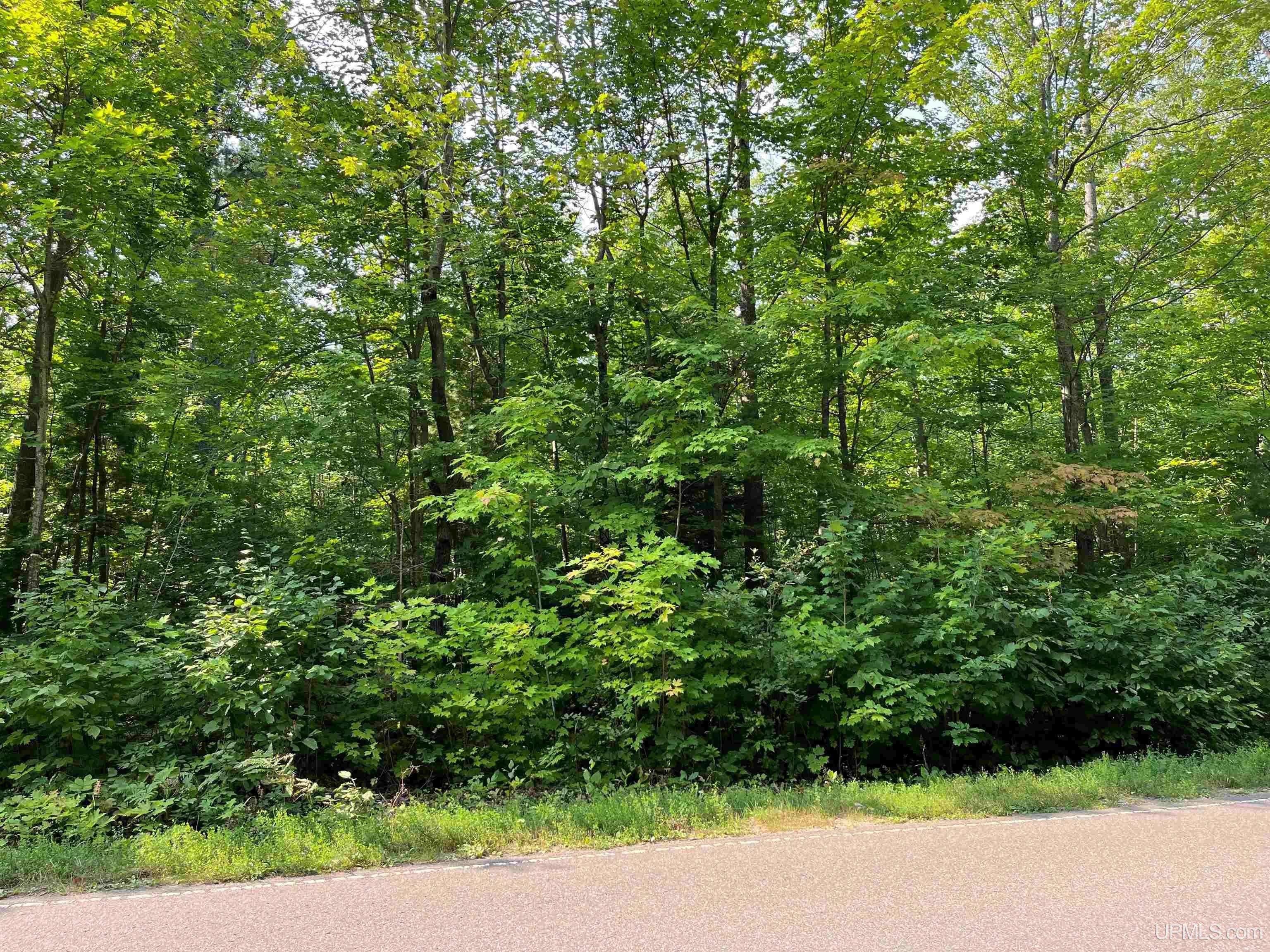 Skandia, MI 49885,M94 Highway