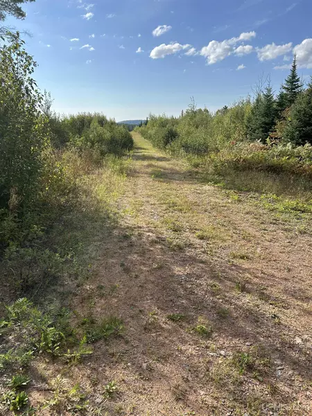 200 Acres CR 573 Road, Ishpeming, MI 49849