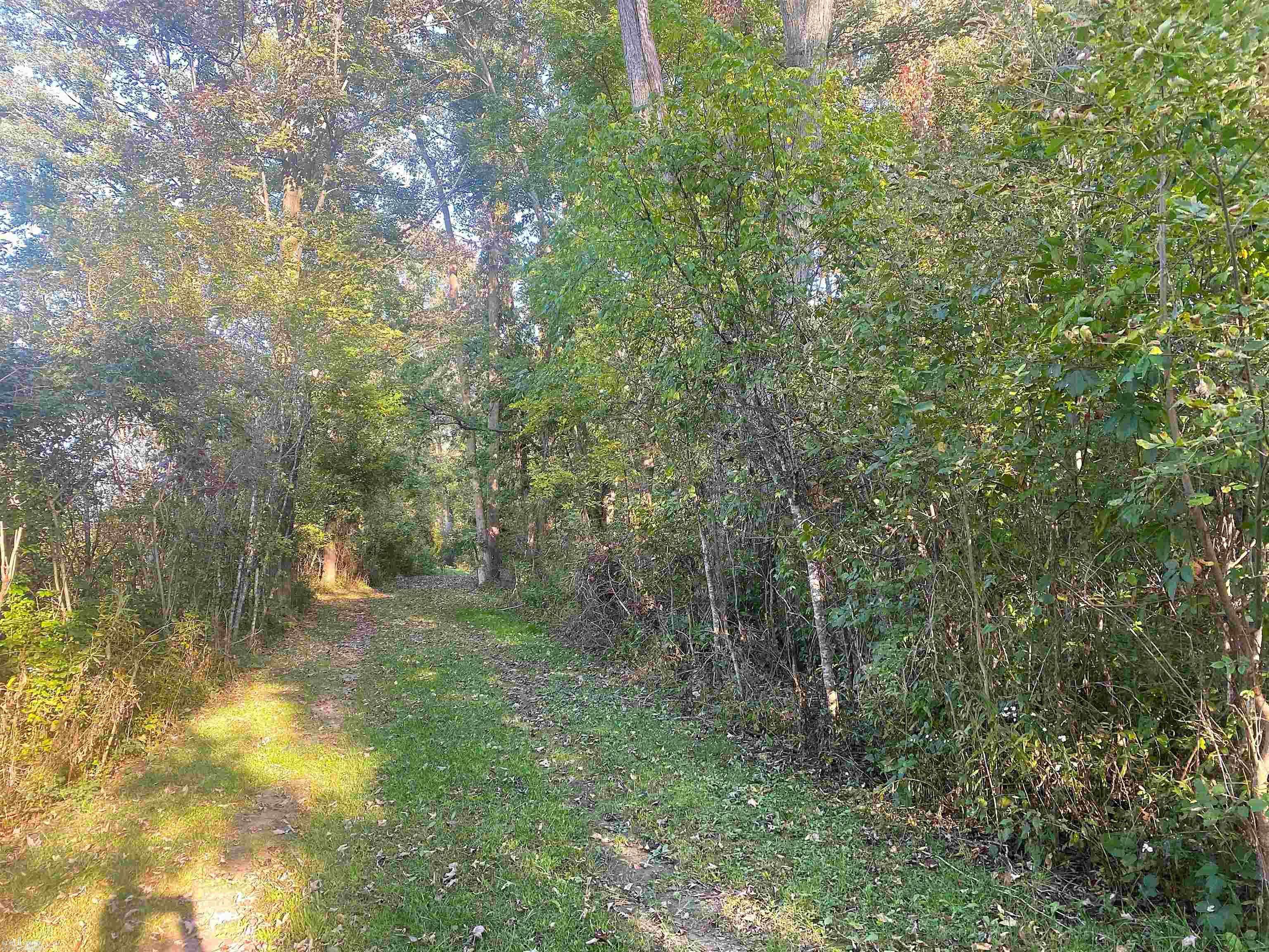 Bancroft, MI 48414,State Road