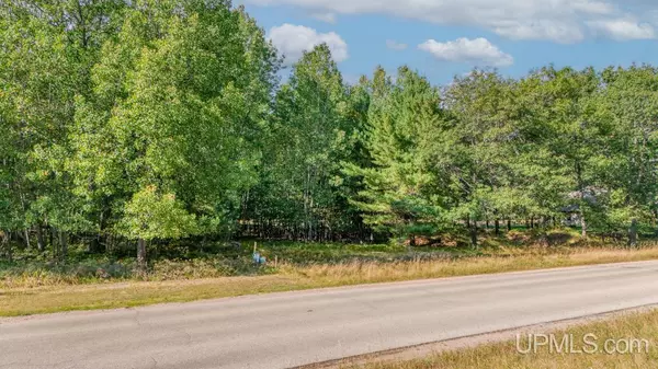 Gladstone, MI 49837,Lot 3 Irish Oaks Estates Tipperary Road