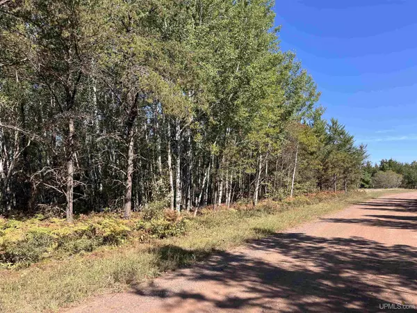 Skandia, MI 49885,TBD E Martin Lake Road