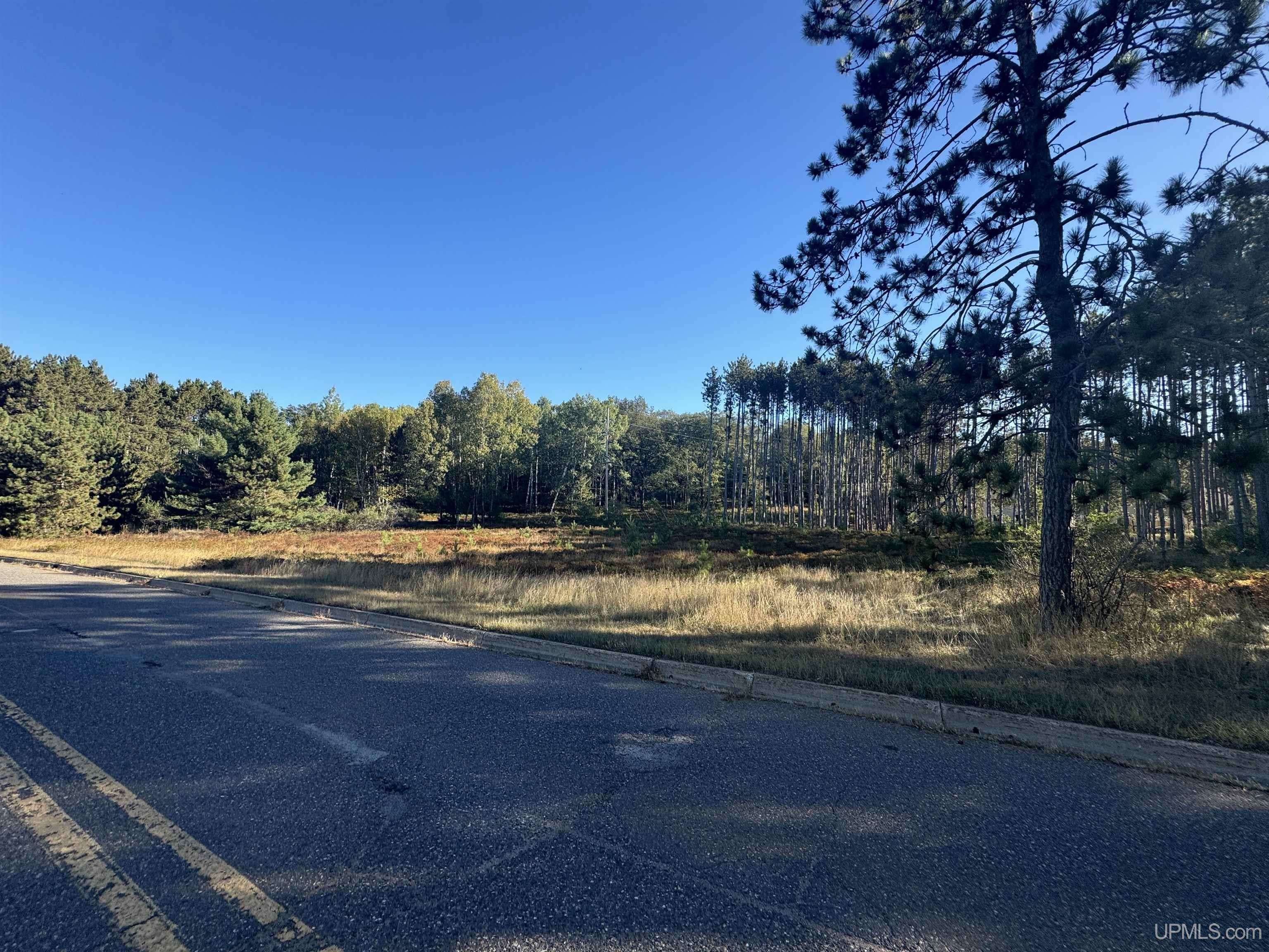 169 & 173 N Pyle Drive,  Kingsford,  MI 49802