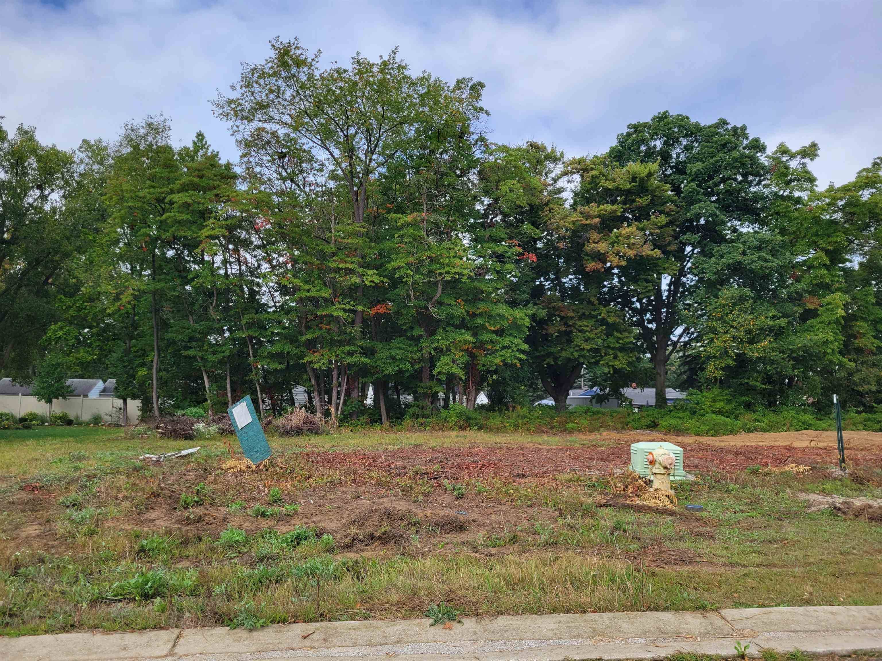 11453 Hidden Oaks Drive, Clio, MI 48420