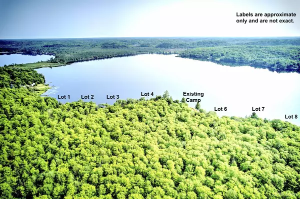 Michigamme, MI 49862-0000,Lot 6 Petticoat Lake Road