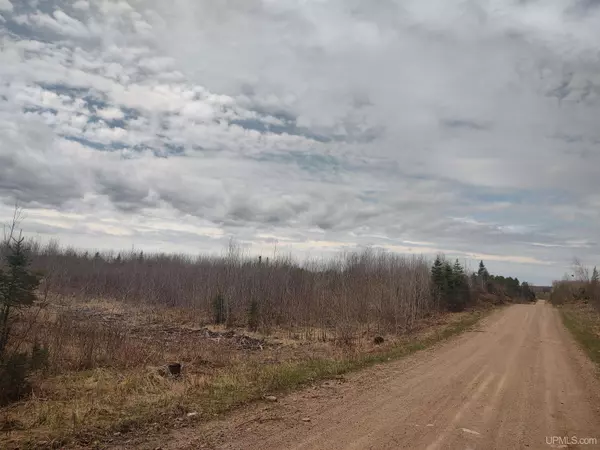 80 acres 18 Road, Republic, MI 49879