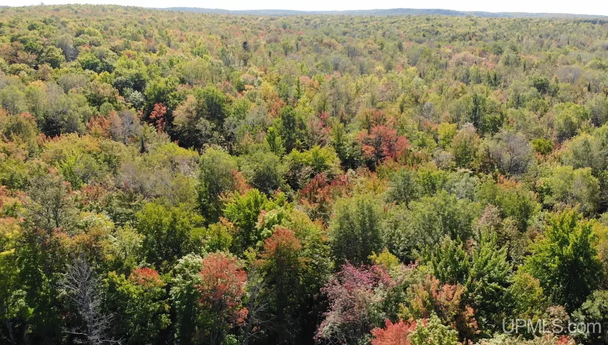 Bruce Crossing, MI 49912,TBD 1 US45 Highway