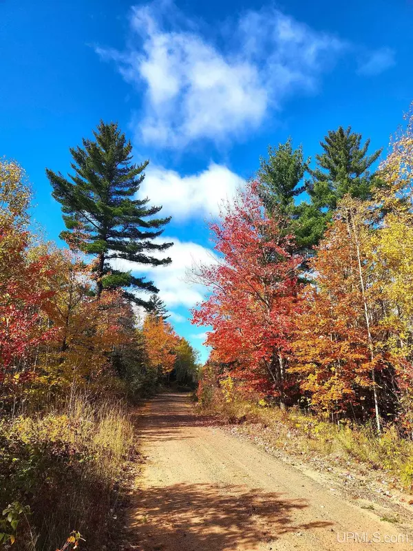 TBD Co Rd EEB/Pohlman Road, Gwinn, MI 49841