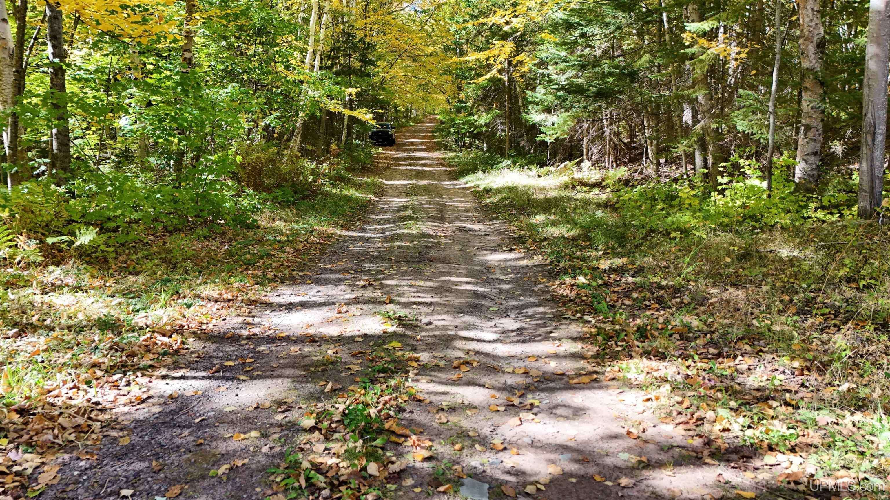 TBD5.3 Salmon Road, L'anse, MI 49946