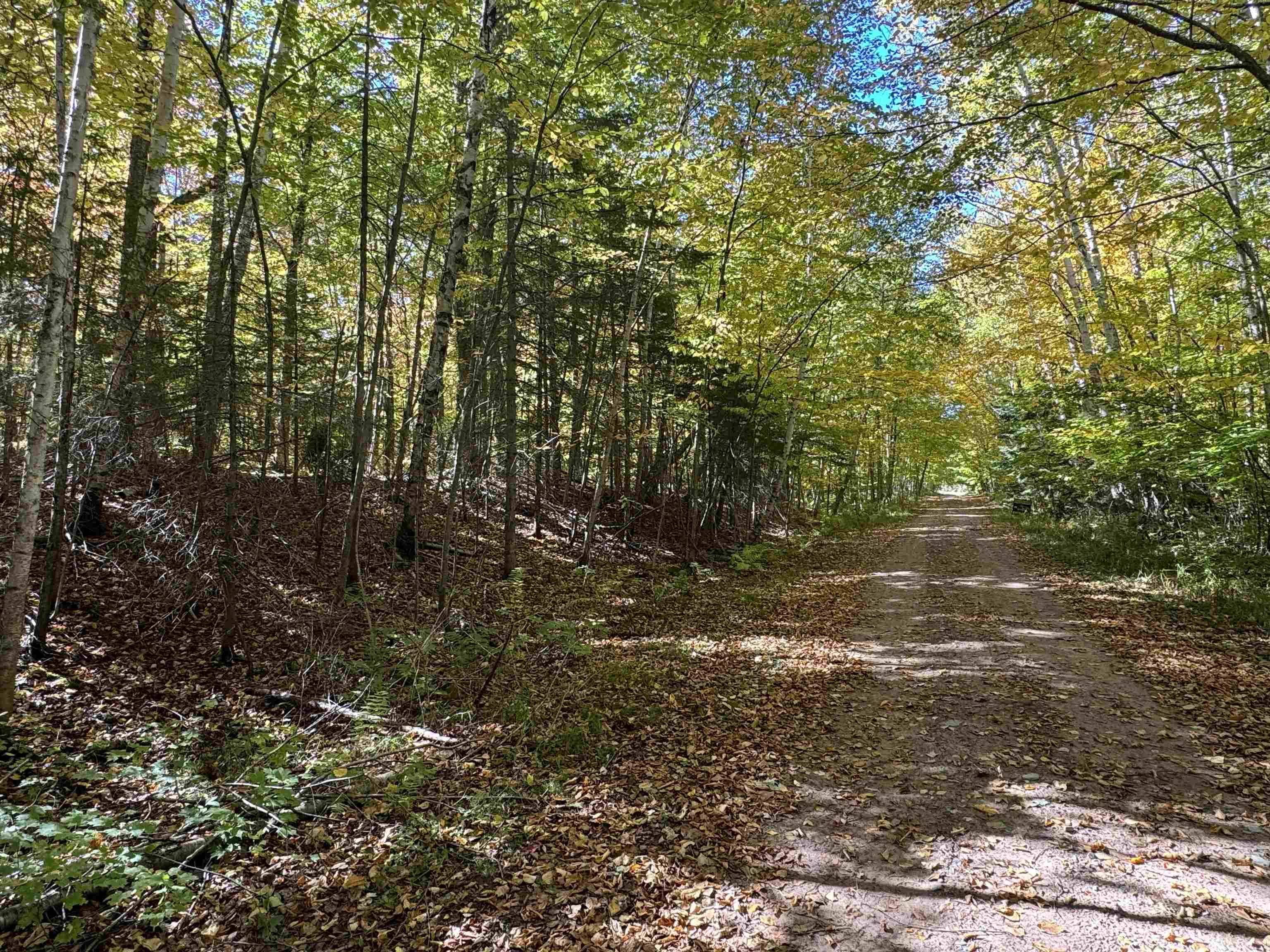L'anse, MI 49946,TBD4.5 Salmon Road