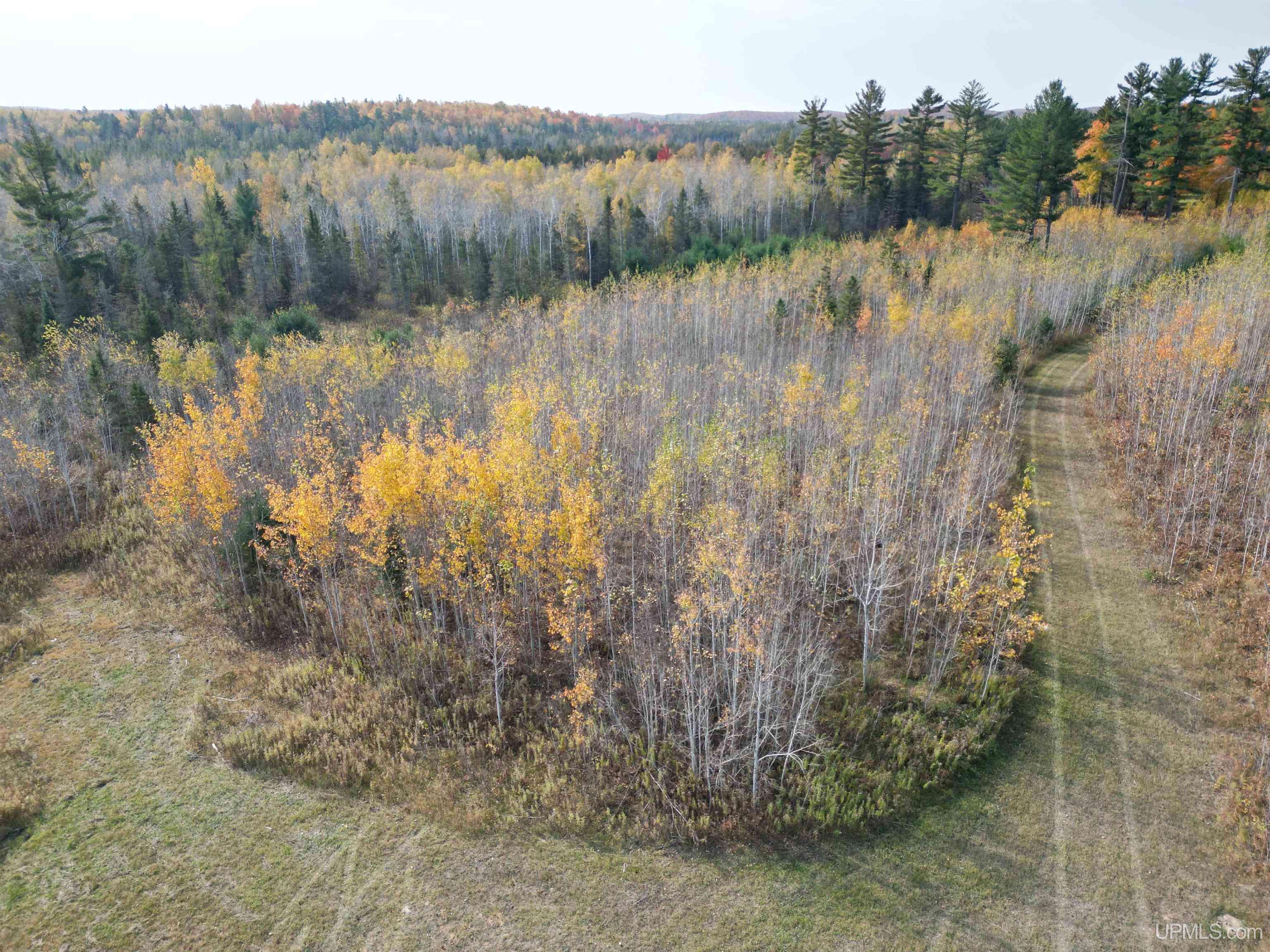 Perronville, MI 49873,TBD Off Murray 80 Road