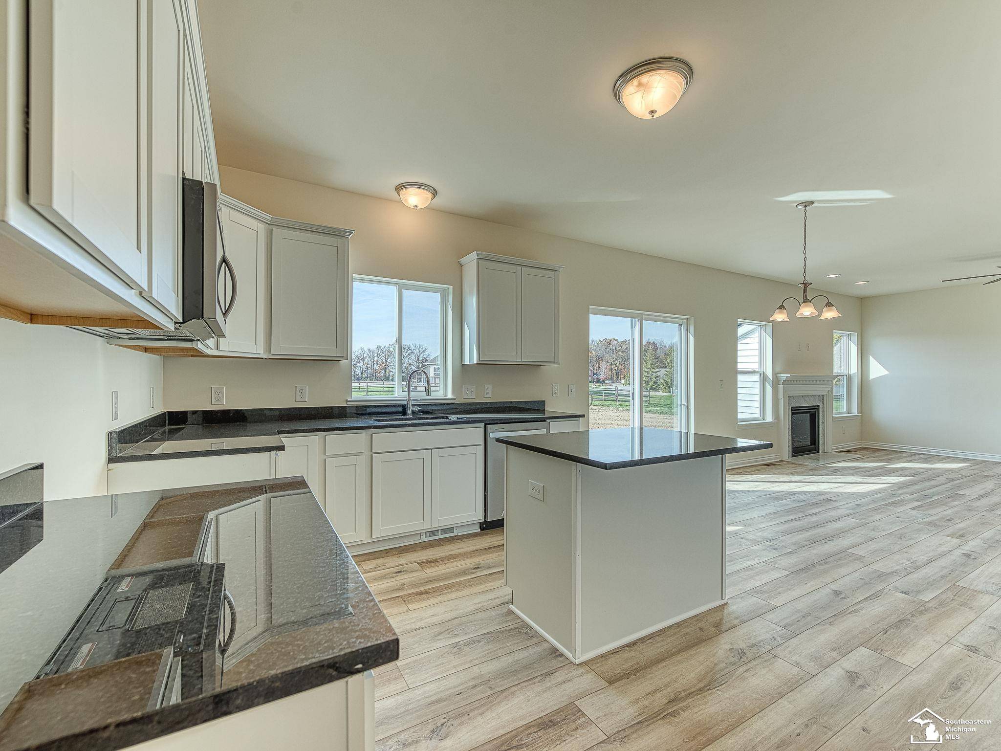 Newport, MI 48166,4198 Swan Ridge Lane Road