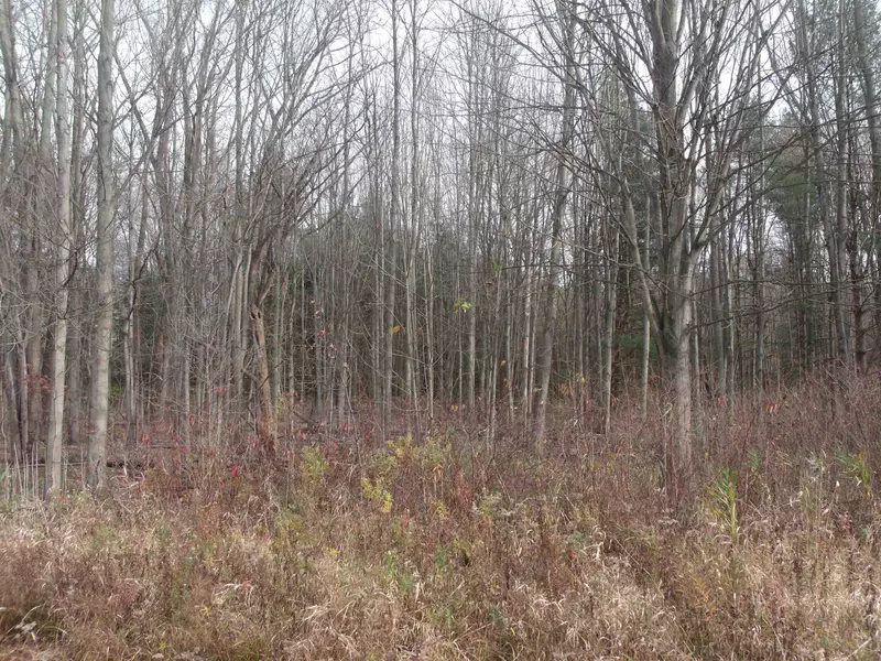 Lot 0001 Palms Road, Casco, MI 48064