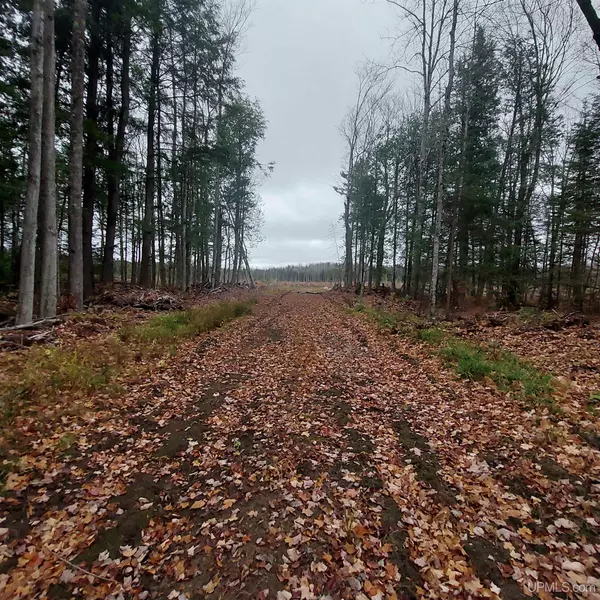 Marquette, MI 49855,40 +/- Acres off Mangum Road