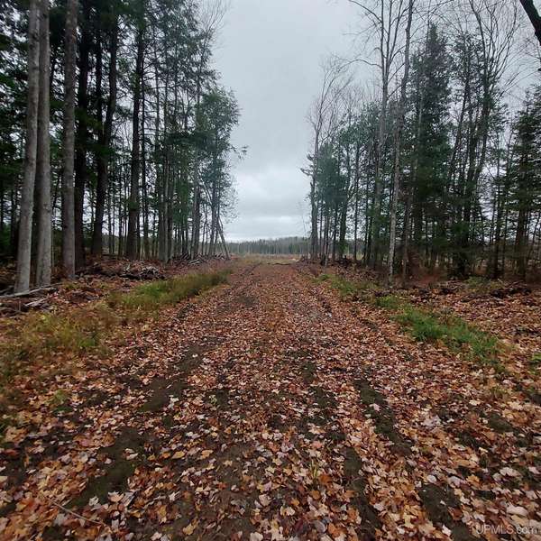 40 +/- Acres off Mangum Road, Marquette, MI 49855