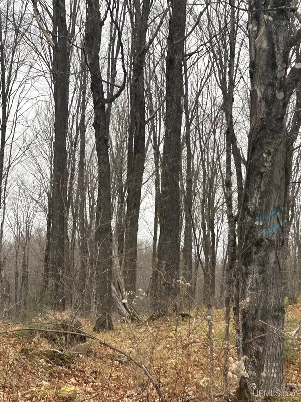 Bessemer, MI 49911,TBD Old Nanny Road