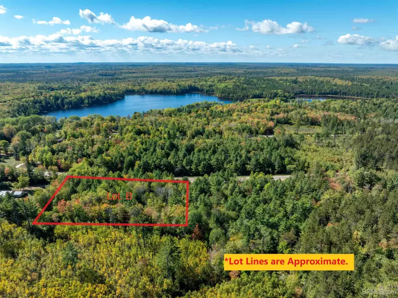 TBD M-94 Lot B Road, Shingleton, MI 49854