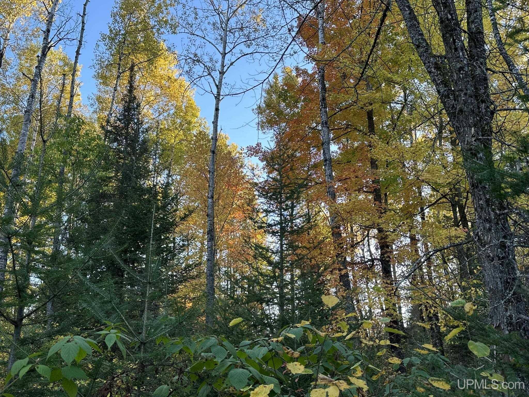 TBD Cataldo Drive, Iron River, MI 49935