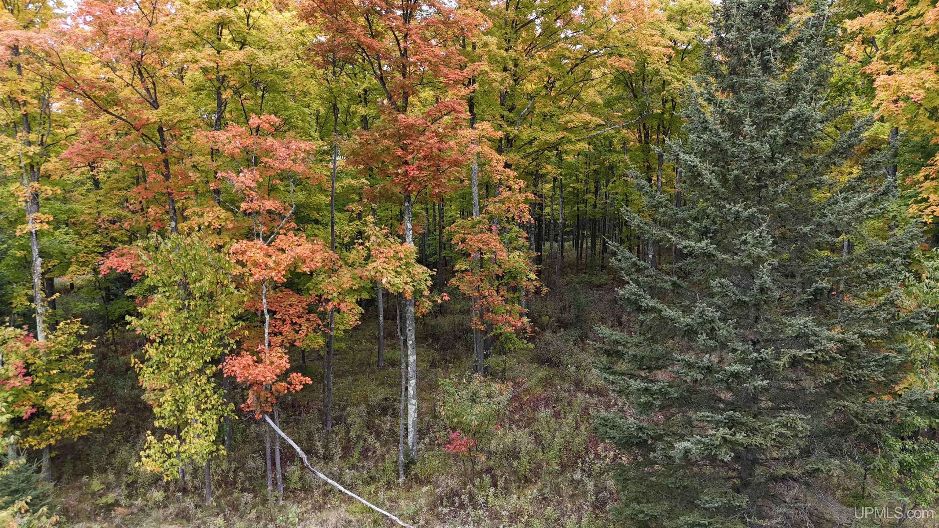 Iron River, MI 49935,TBD W Sunset Lake Road