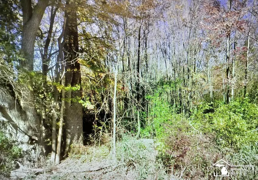 49570 Bog Road, Van Buren Twp, MI 48111