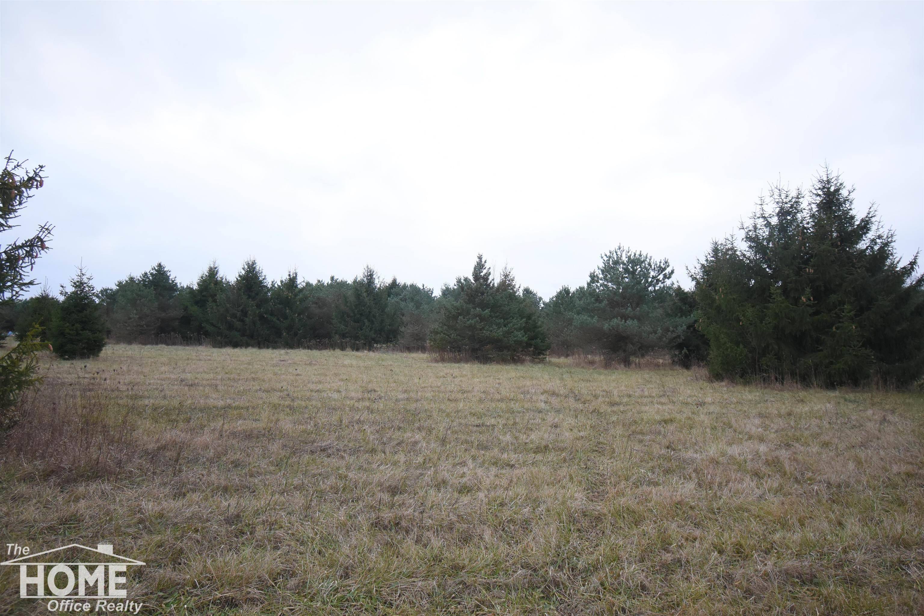 Corunna, MI 48817,Vacant Hibbard Road