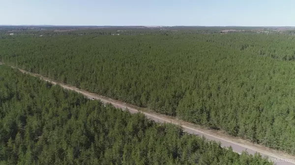 Gwinn, MI 49841,Parcel 4 Rice Lake Road