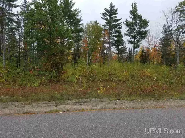 TBD N Greenwood Lake Drive, Ishpeming, MI 49849