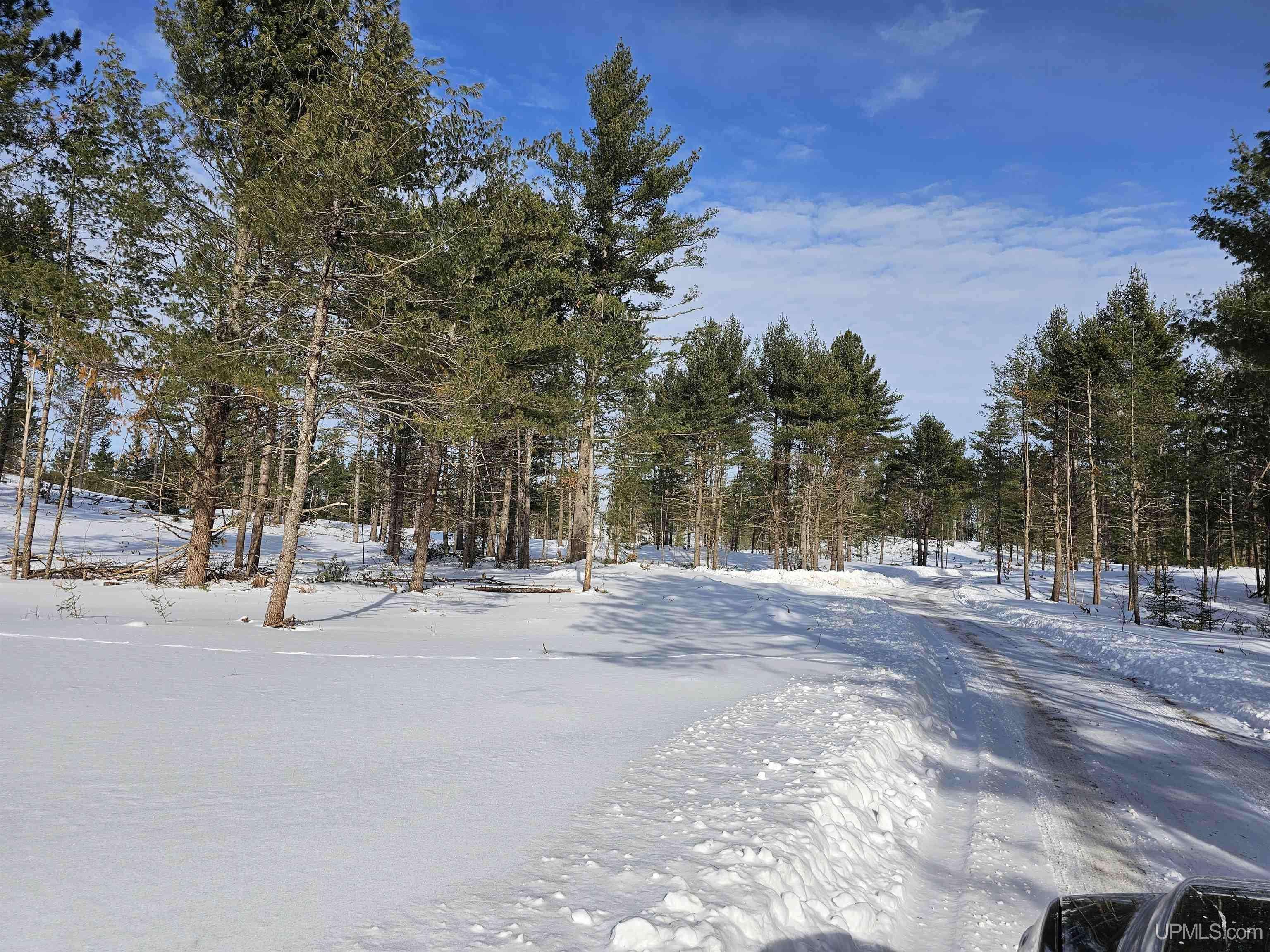 Ishpeming, MI 49849,tbd 375 Acres off Co Rd CF Road
