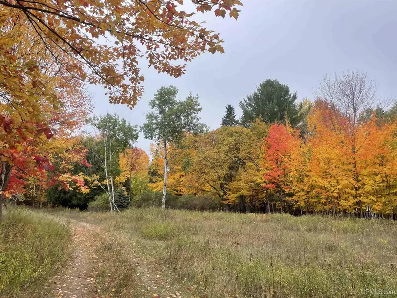 1507 W Fair Avenue, Marquette, MI 49855