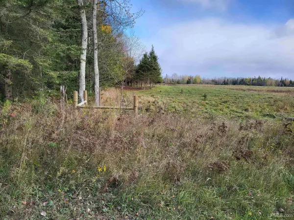 Rock, MI 49880,TBD Airport Road